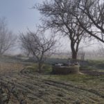 Finca Monastasia bodega de rioja viñedo de rioja