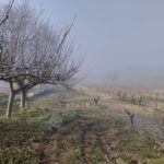 Finca Monastasia bodega de rioja viñedo de rioja