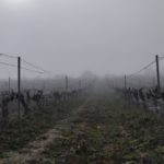 Finca Monastasia bodega de rioja viñedo de rioja